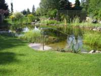 Schwimmteich