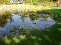 Schwimmteich