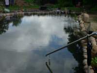 Schwimmteich