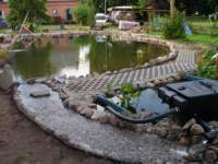 Schwimmteich