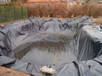 Teichbau